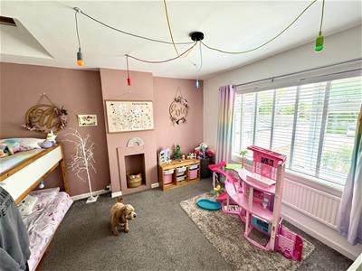 Picture 11